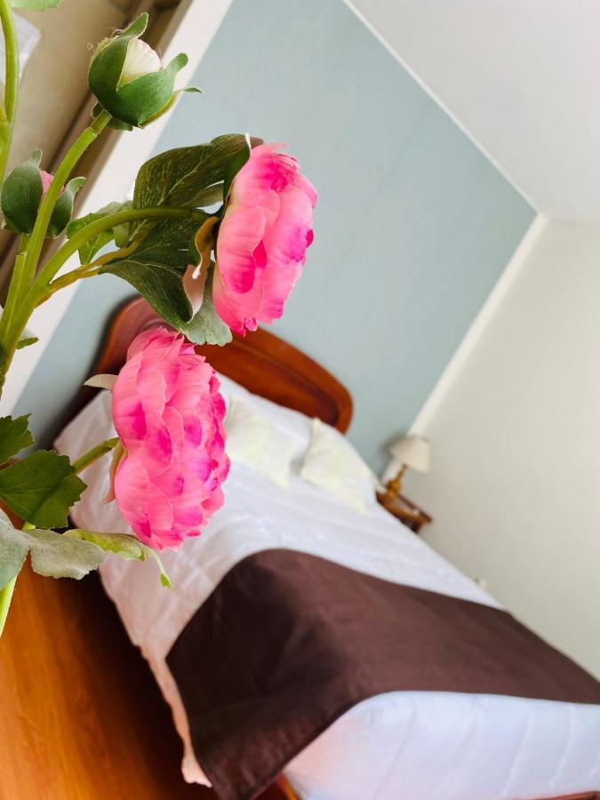 Helena De Santa Maria Hotel Arequipa Eksteriør billede